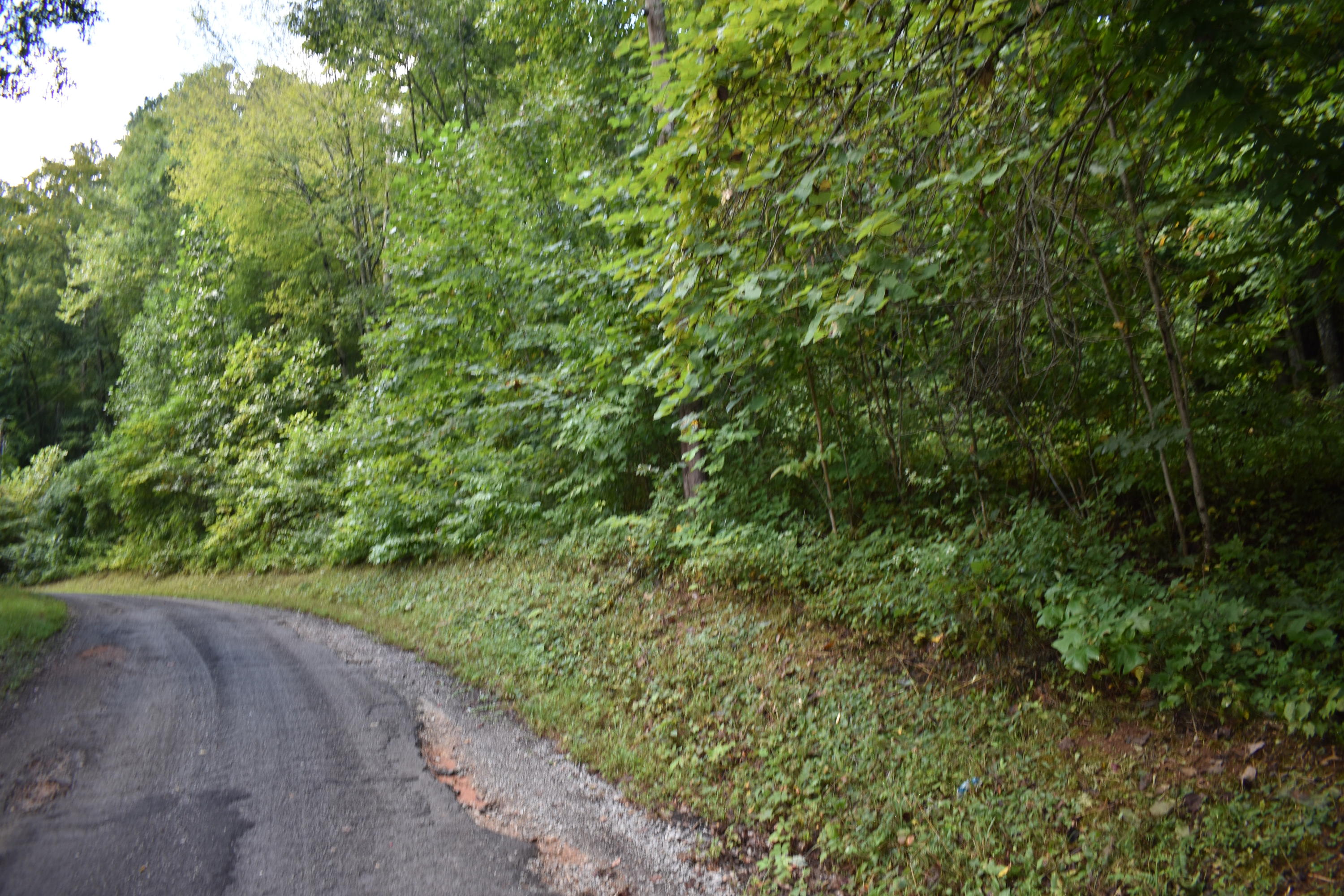 245 Blue Ridge Road Speedwell, TN 37870 - Photo 19 of 28 DSC_0030