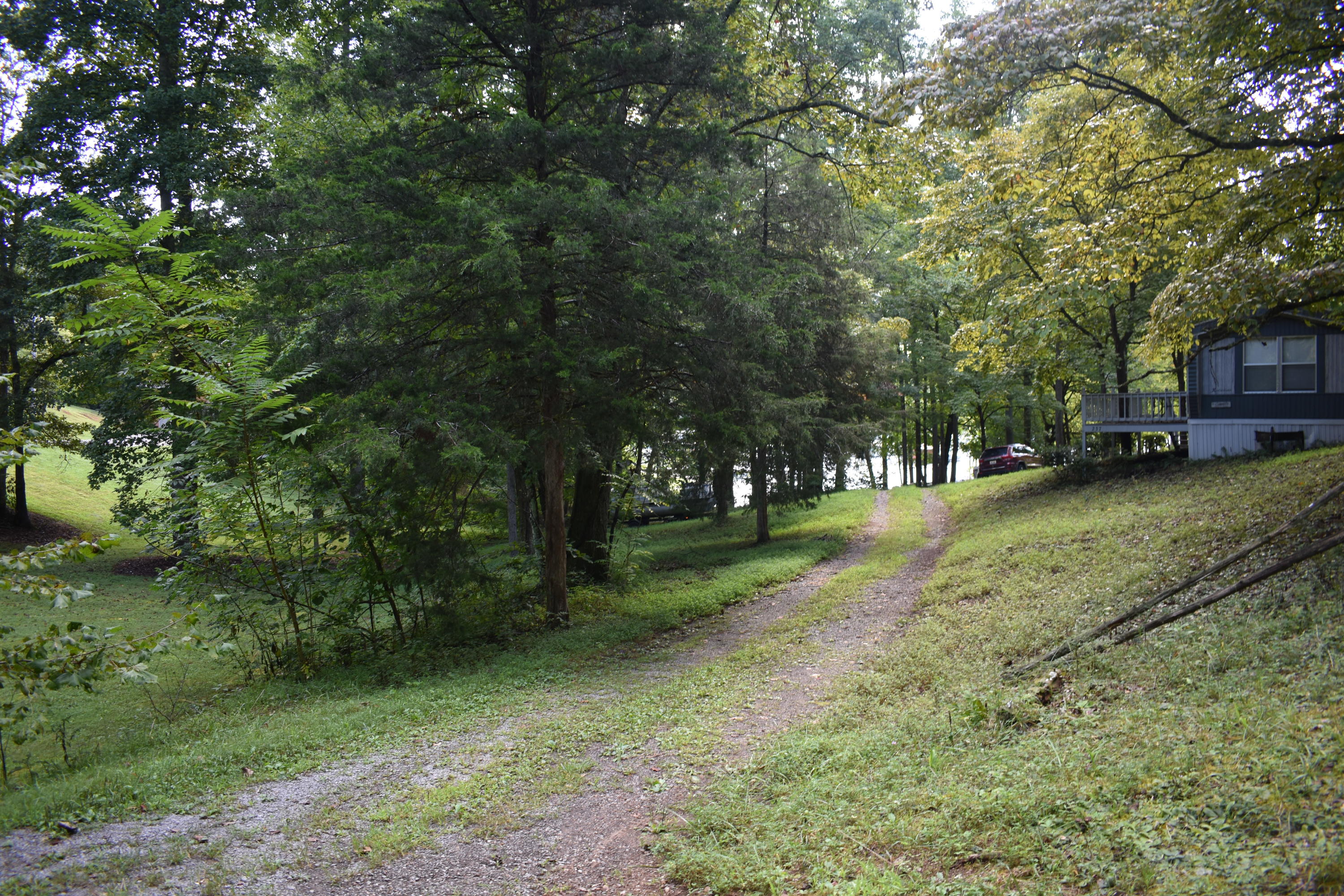245 Blue Ridge Road Speedwell, TN 37870 - Photo 20 of 28 DSC_0031
