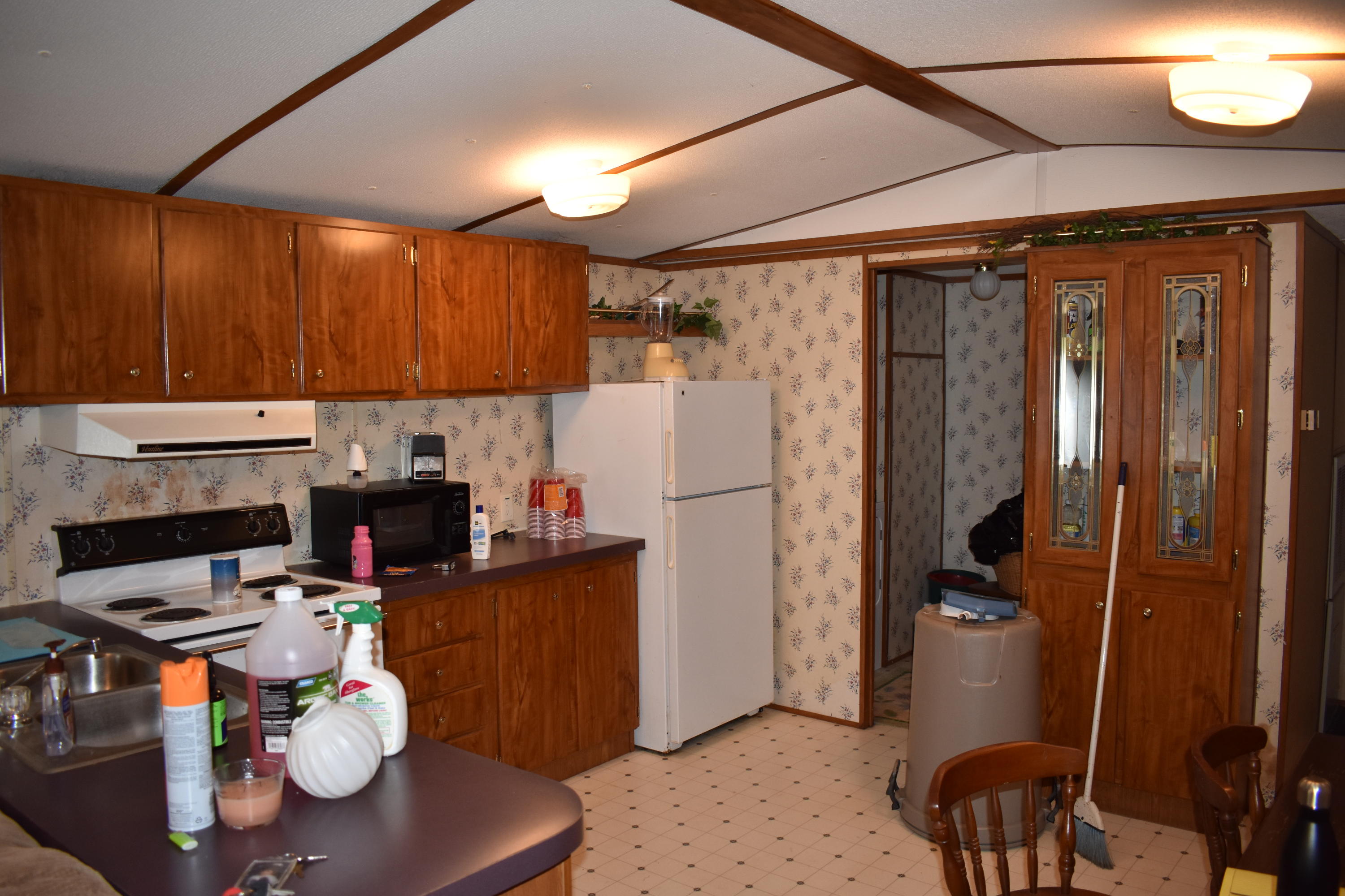 245 Blue Ridge Road Speedwell, TN 37870 - Photo 24 of 28 DSC_0008