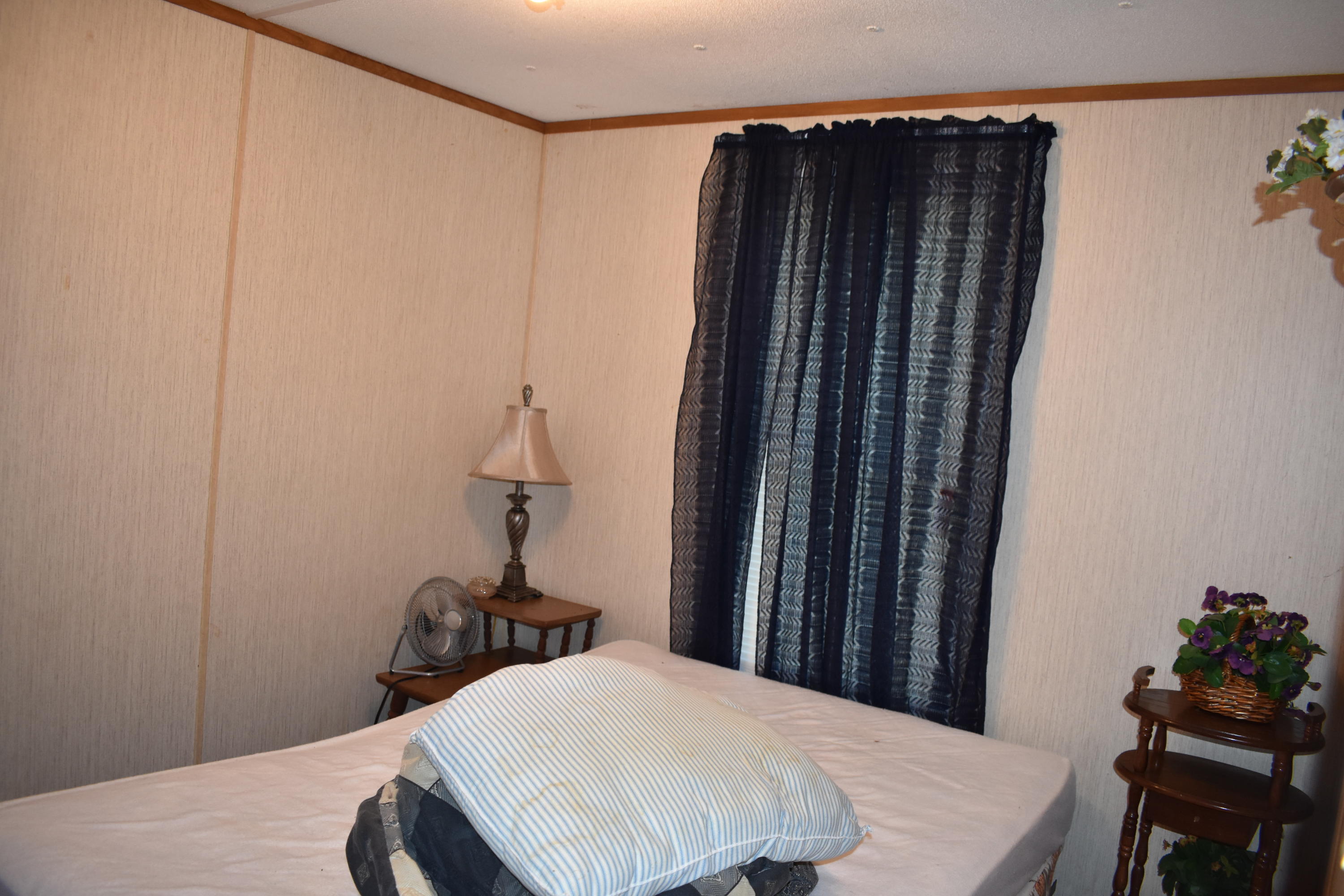 245 Blue Ridge Road Speedwell, TN 37870 - Photo 28 of 28 DSC_0012