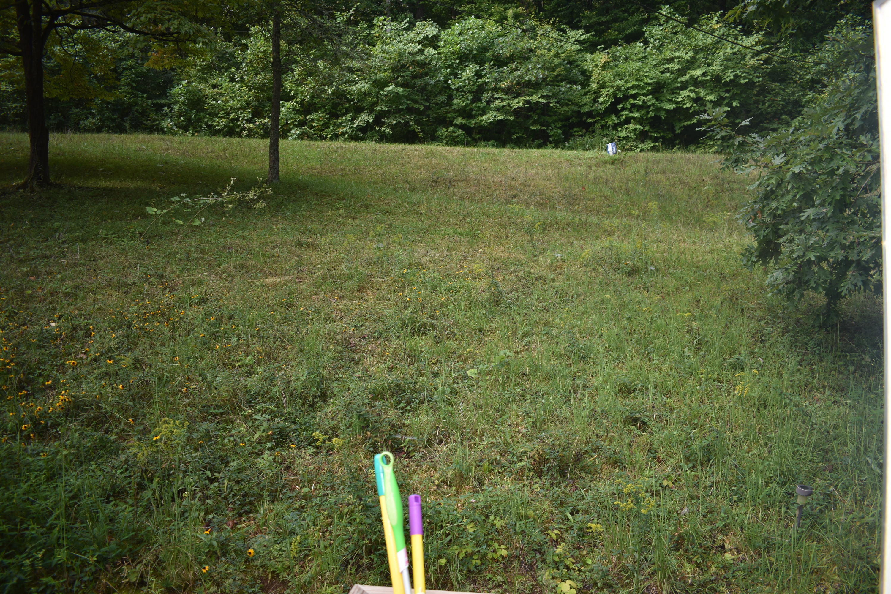 245 Blue Ridge Road Speedwell, TN 37870 - Photo 6 of 28 DSC_0006