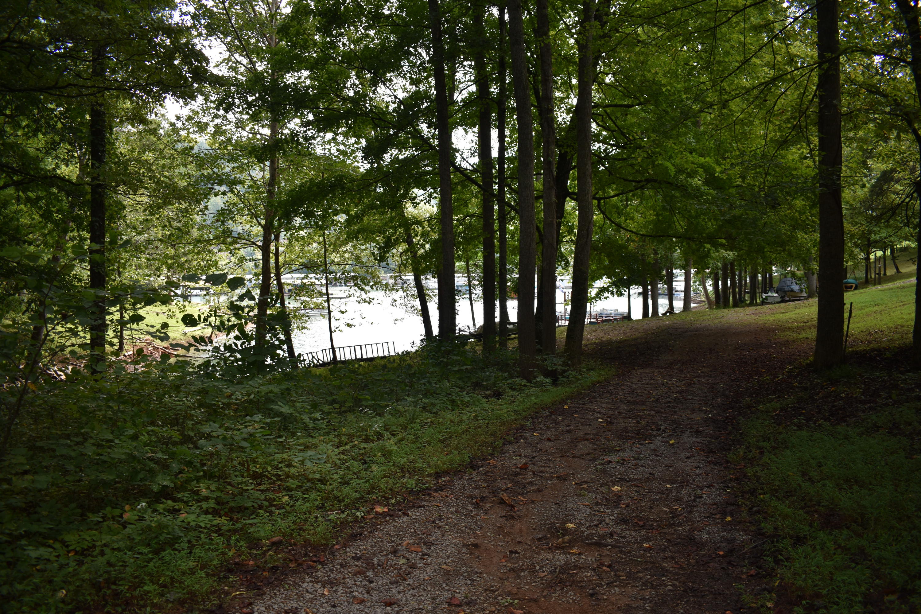 245 Blue Ridge Road Speedwell, TN 37870 - Photo 7 of 28 DSC_0014