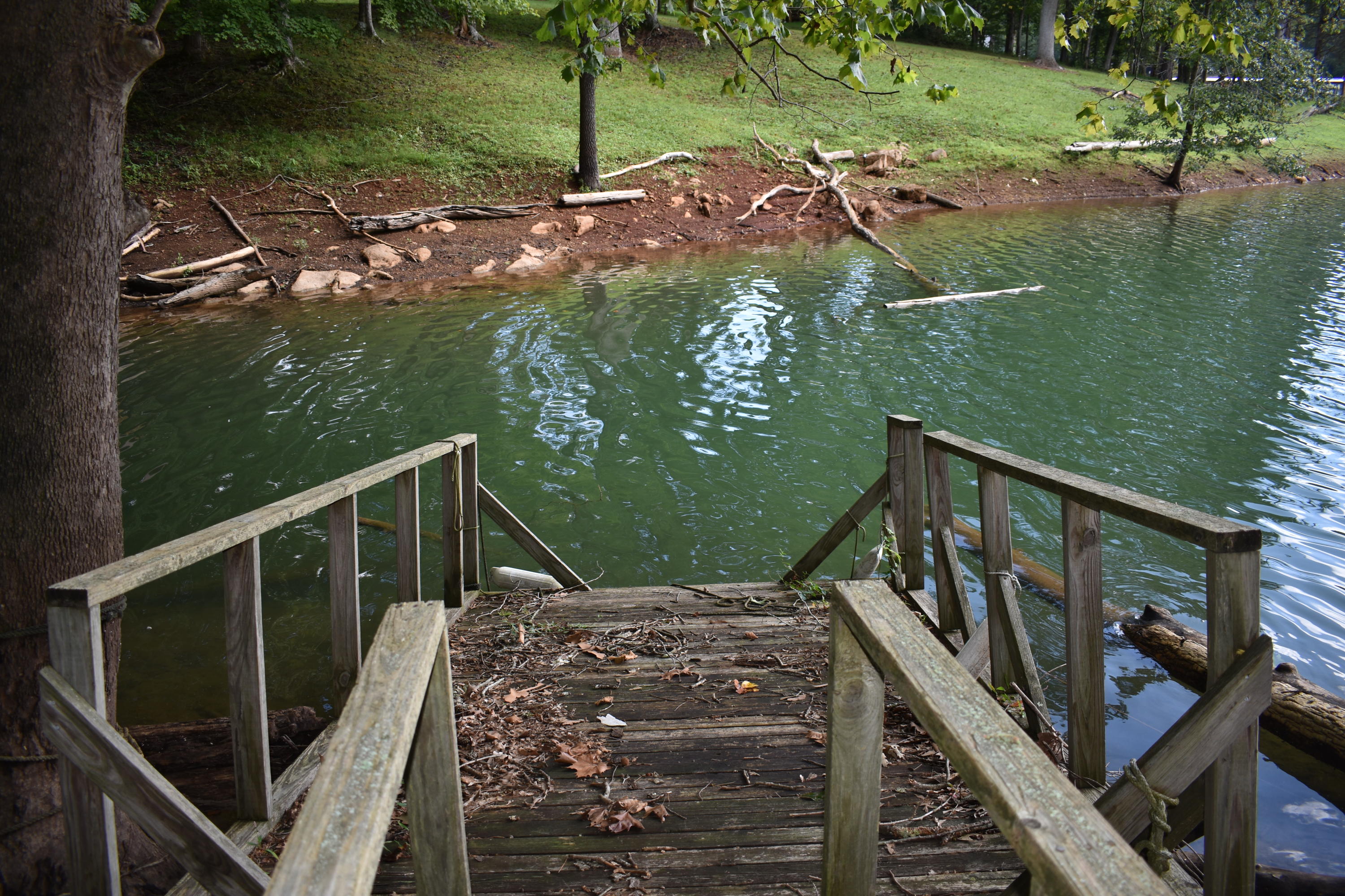 245 Blue Ridge Road Speedwell, TN 37870 - Photo 10 of 28 DSC_0016