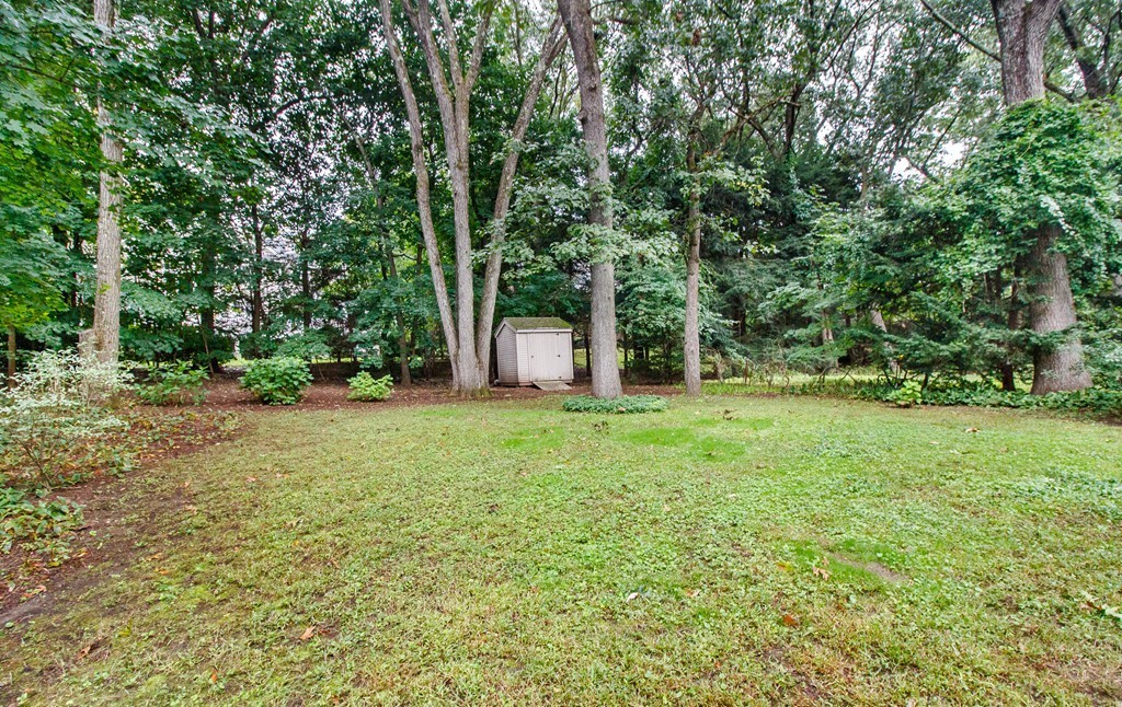 55 Wilde Road Newton, MA 02468 - Photo 29 of 30 a backyard of a house with lots of green space