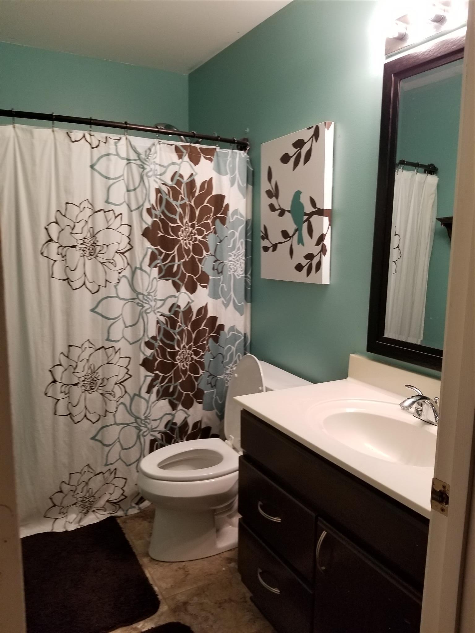 3312 Friendship Road Cross Plains, TN 37049 - Photo 11 of 11 a bathroom with a sink toilet and shower