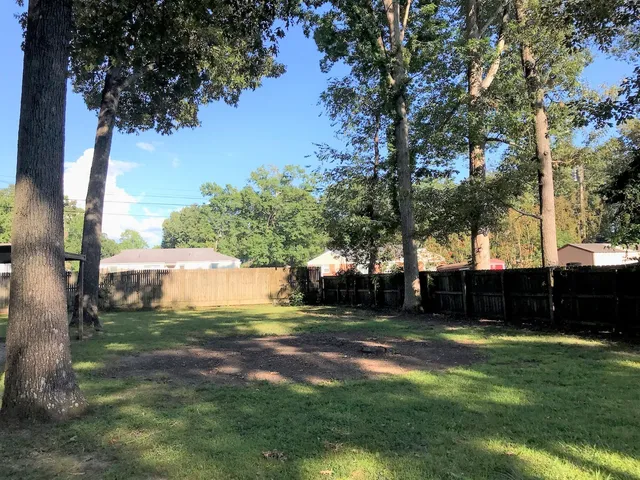 a view of a backyard with large trees