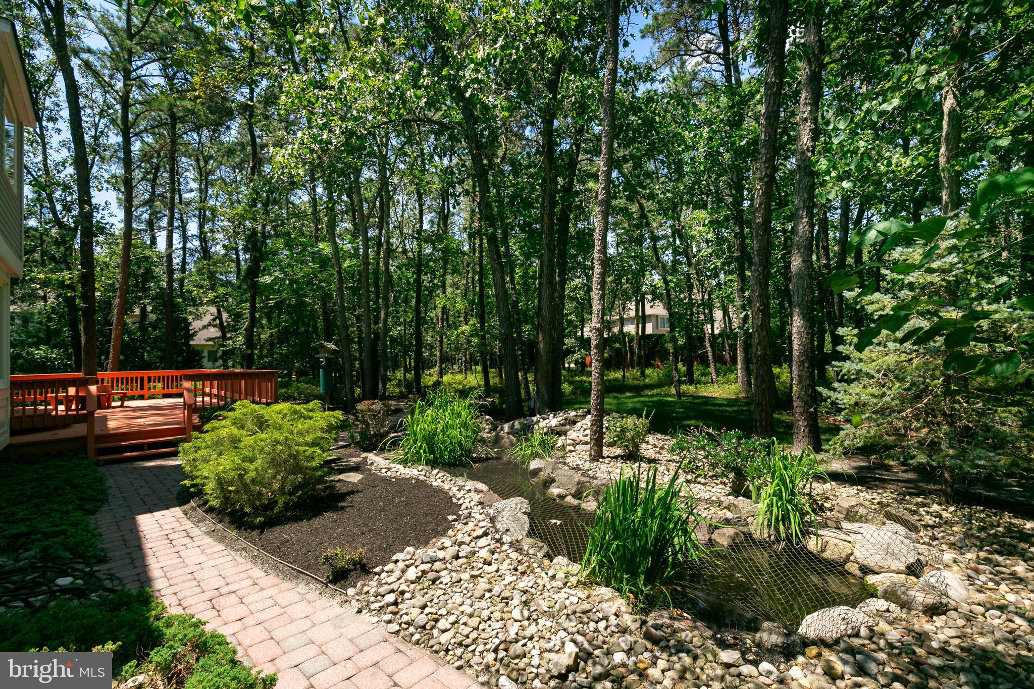 42 Bortons Road Medford, NJ 08055 - Photo 24 of 27 Koi Pond