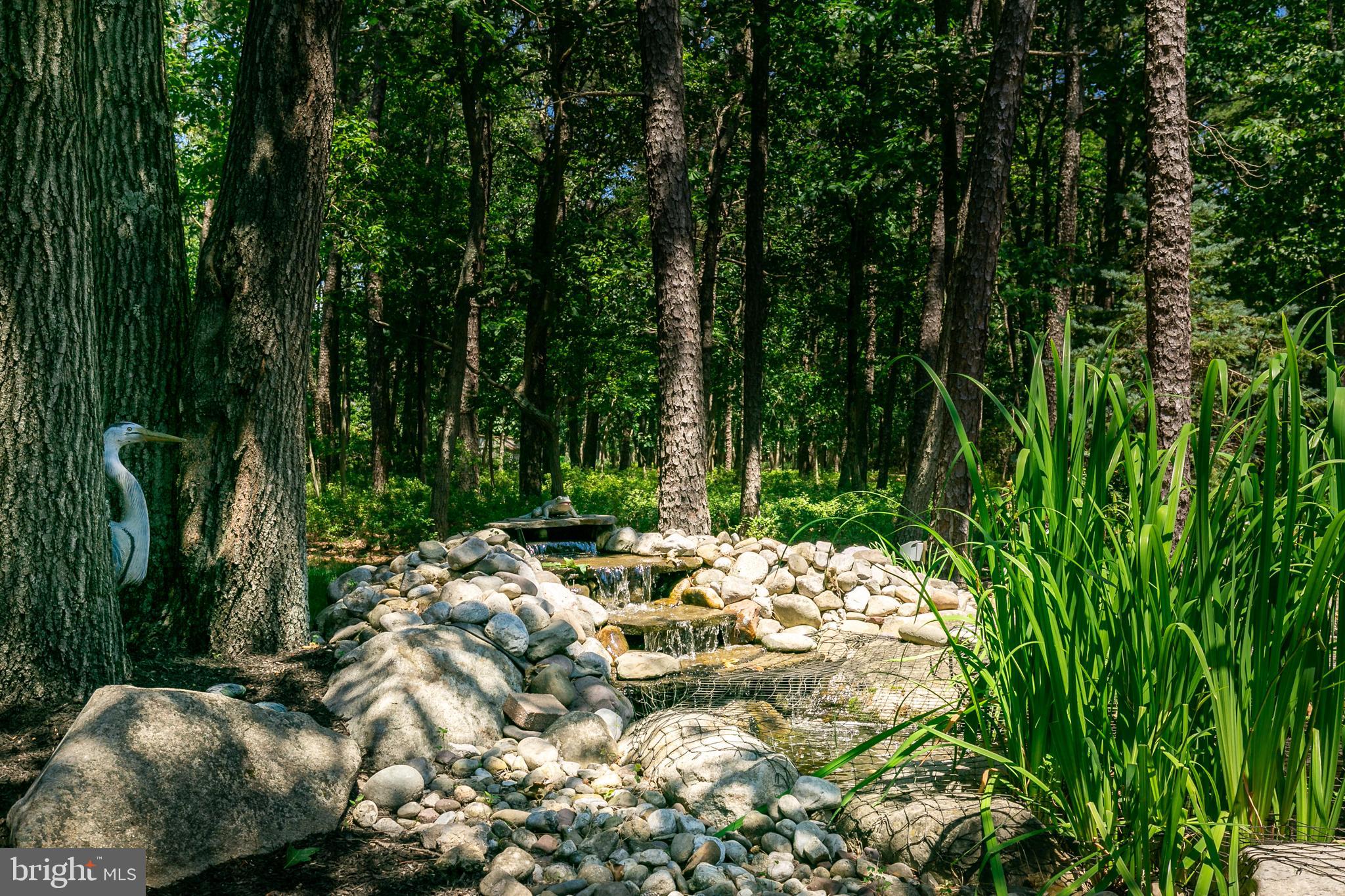42 Bortons Road Medford, NJ 08055 - Photo 25 of 27 Koi Pond and Water Feature