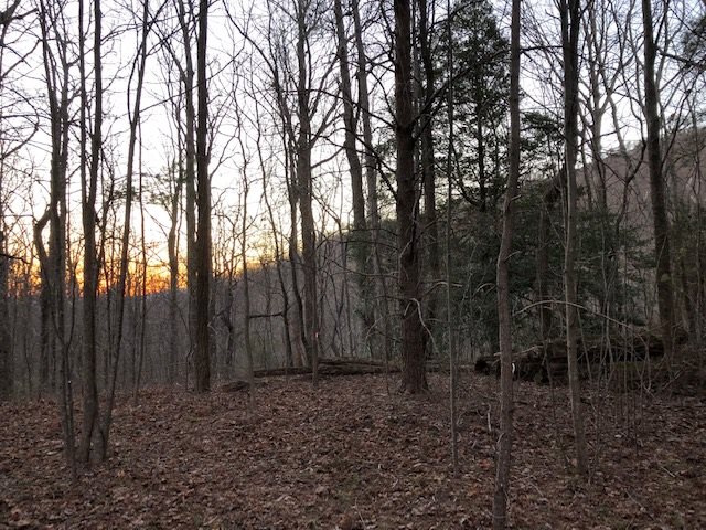 73 Needle Cragg Road Landrum, SC 29356 - Photo 13 of 18