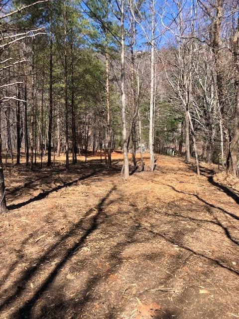 73 Needle Cragg Road Landrum, SC 29356 - Photo 3 of 18