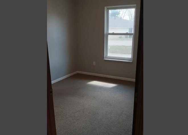 203 North Division Street Mount Carmel, IL 62863 - Photo 7 of 8 a view of empty room with windows