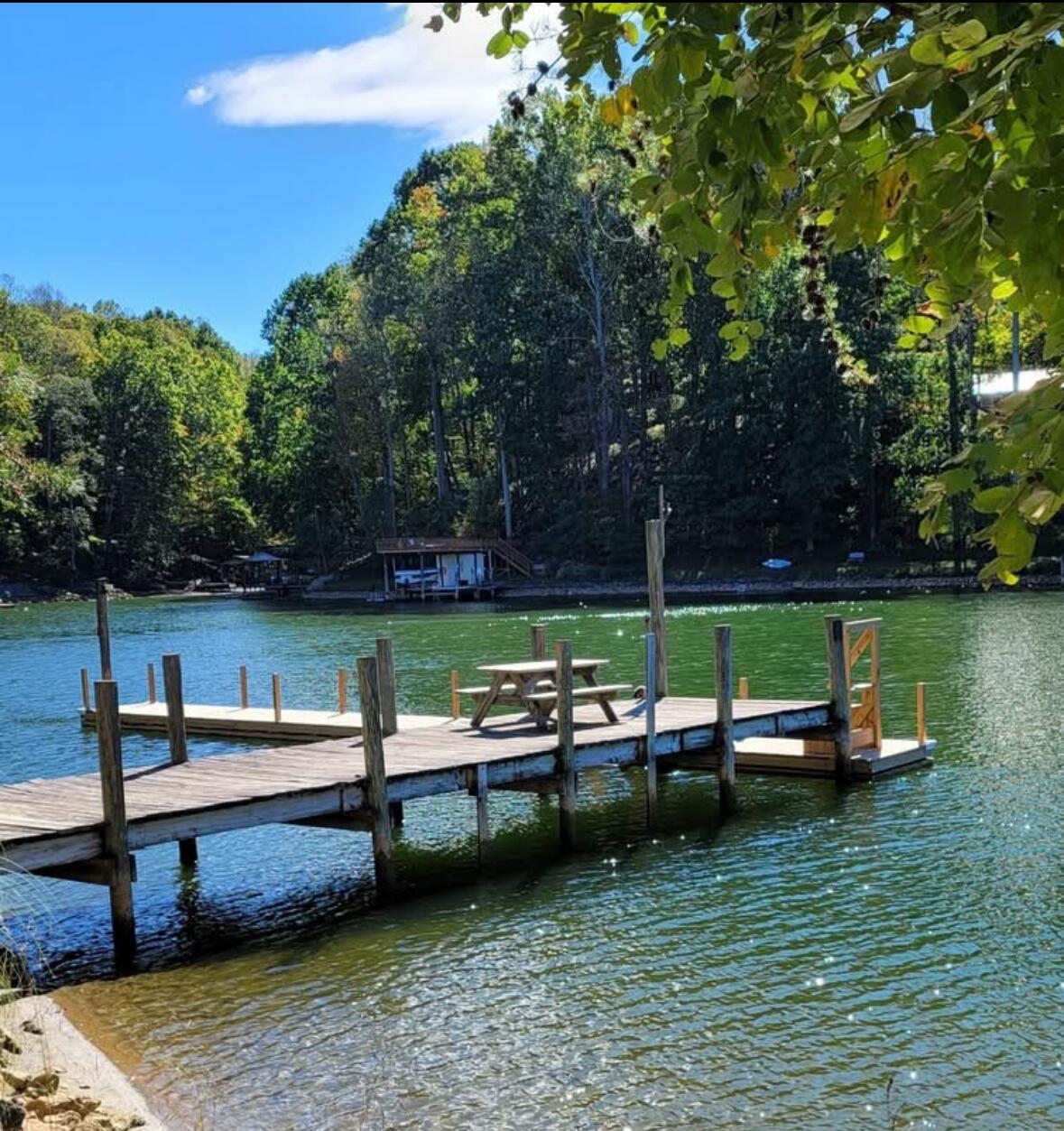 401 Whisperway Road Moneta, VA 24121 - Photo 4 of 60 Community Dock