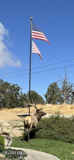 29300 Peregrine Place Tehachapi, CA 93561 - Photo 47 of 49 Bull Elk at flagpole