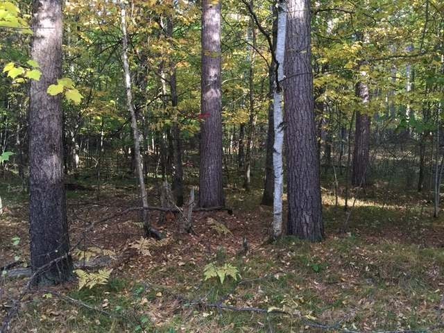 On Gross Road Woodruff, WI 54568 - Photo 1 of 8 Gallery Image 1