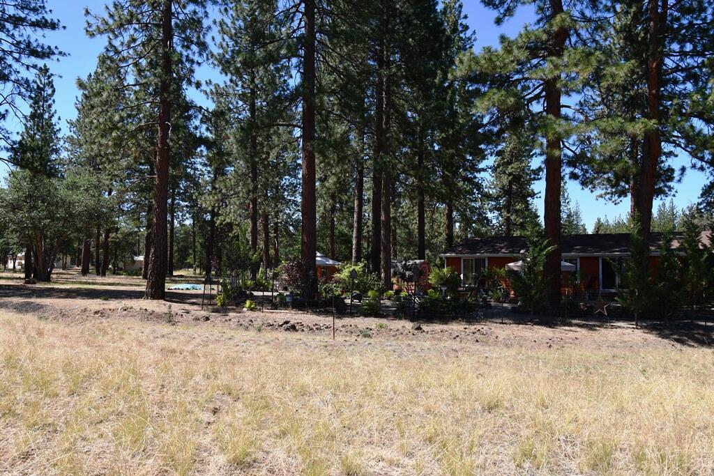 29077 Day Road McArthur, CA 96056 - Photo 46 of 58 a view of outdoor space with trees