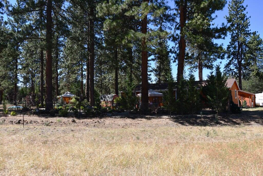 29077 Day Road McArthur, CA 96056 - Photo 47 of 58 a view of outdoor space with trees