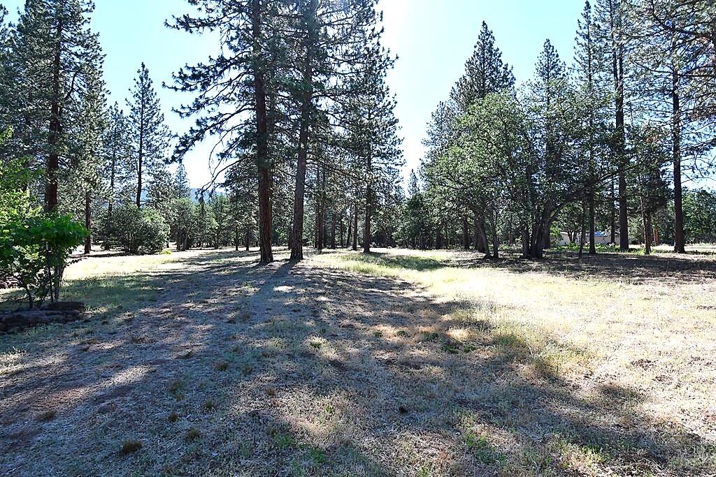 29077 Day Road McArthur, CA 96056 - Photo 53 of 58 a view of outdoor space with trees