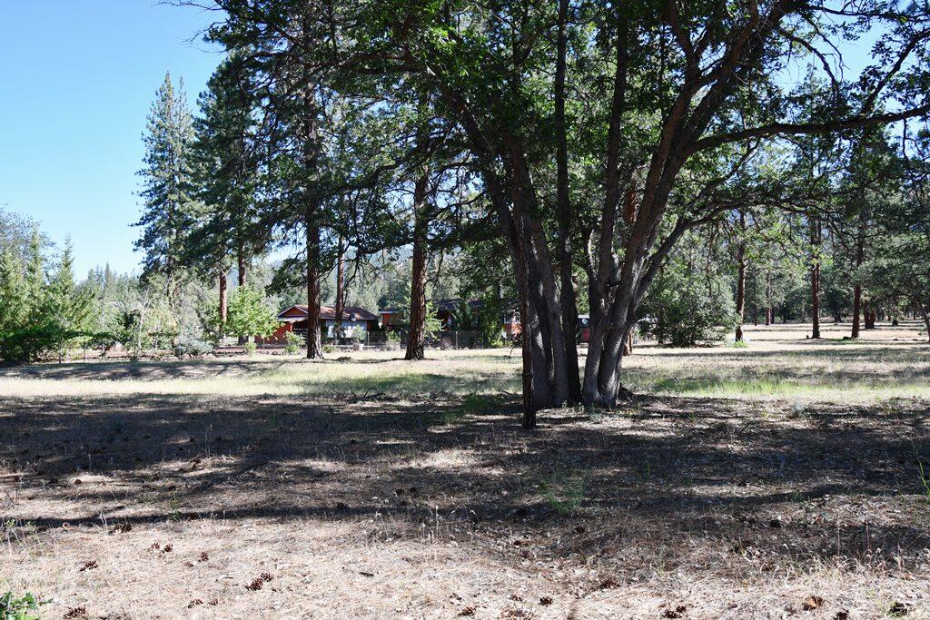 29077 Day Road McArthur, CA 96056 - Photo 54 of 58 a view of backyard space with trees