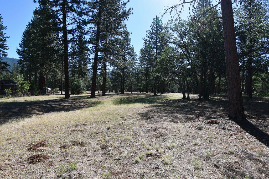 29077 Day Road McArthur, CA 96056 - Photo 55 of 58 a view of outdoor space with trees