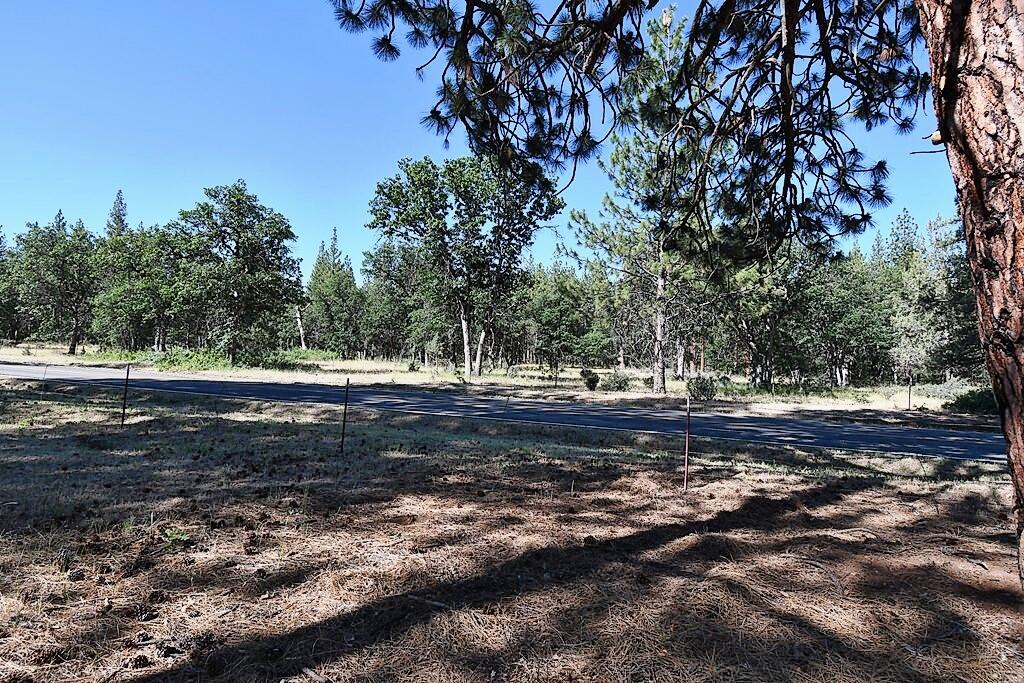 29077 Day Road McArthur, CA 96056 - Photo 56 of 58 a view of dirt yard with a large tree