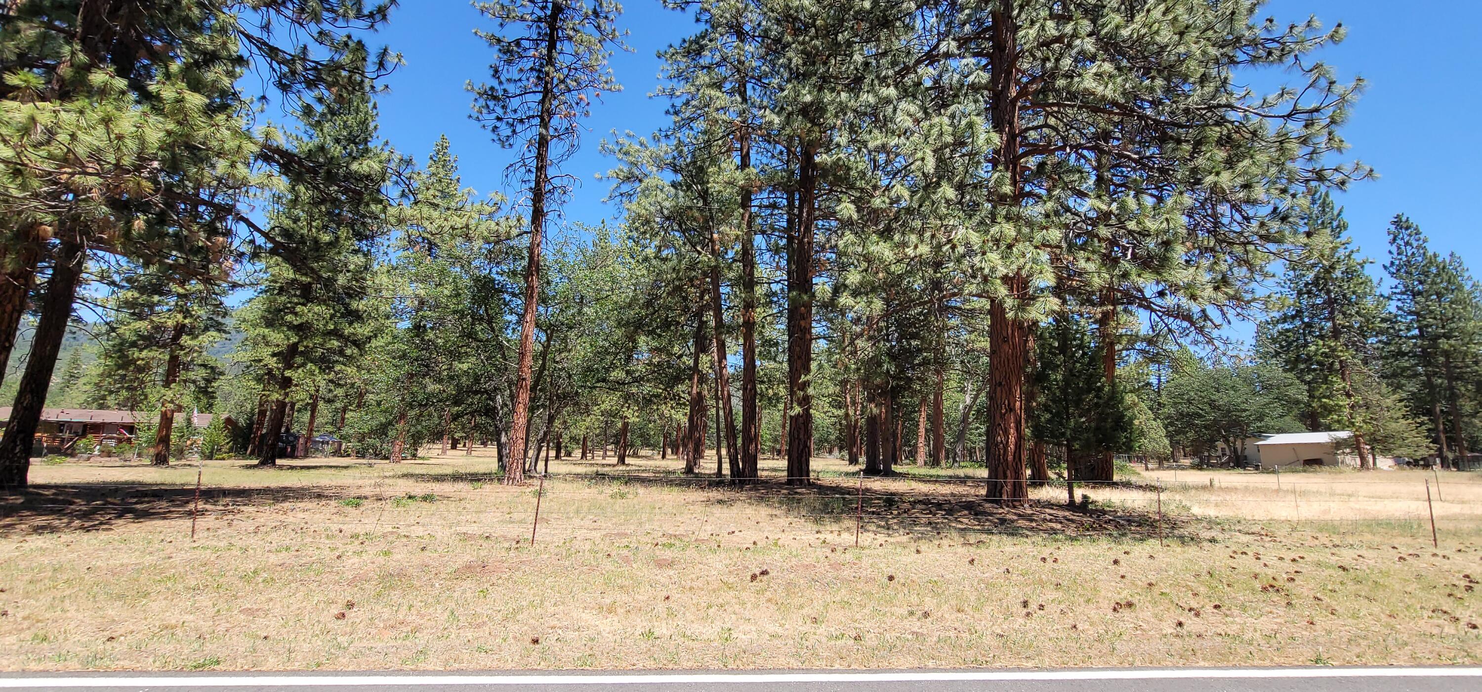 29077 Day Road McArthur, CA 96056 - Photo 58 of 58 20220702_135847