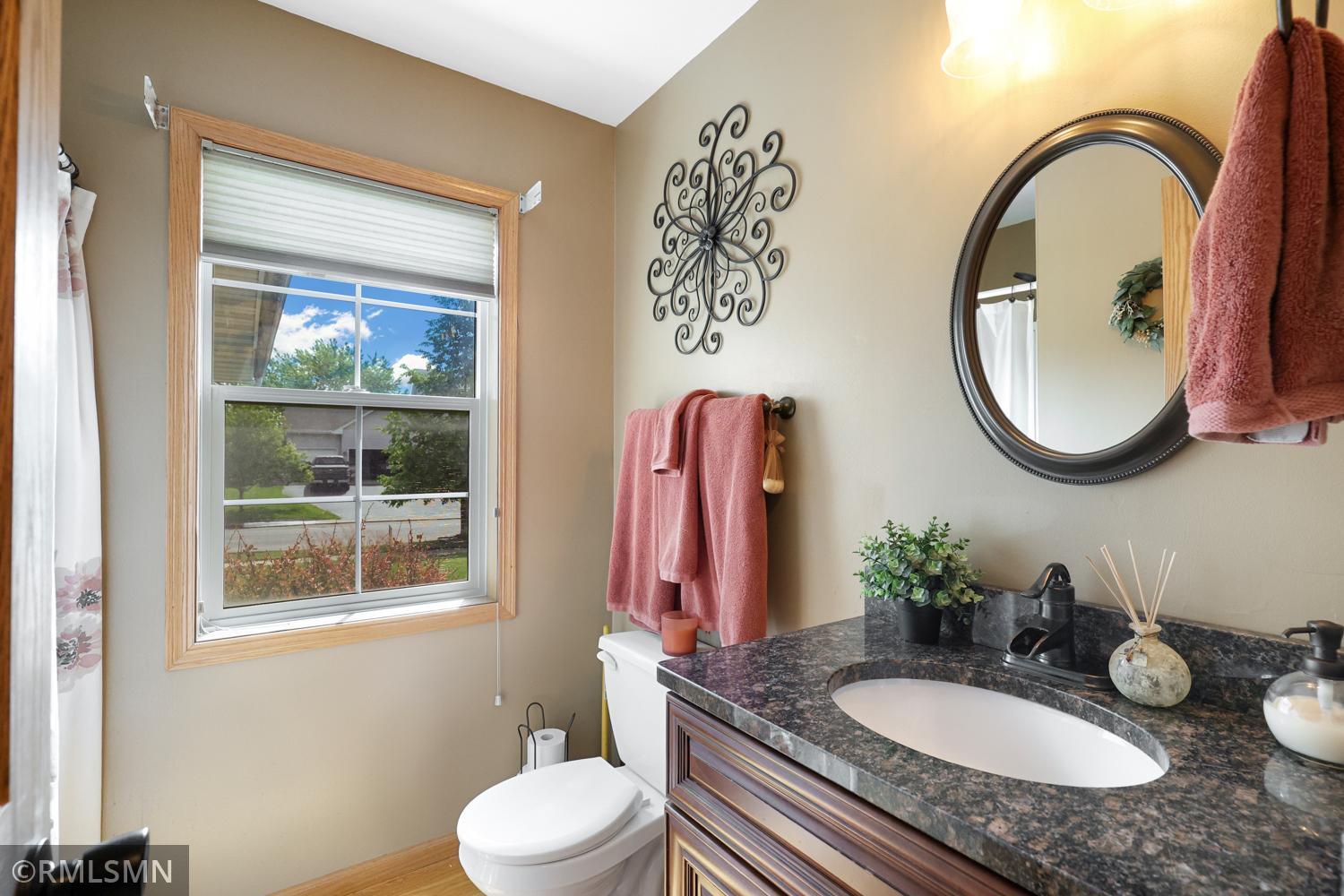 15751 Cicerone Path Rosemount, MN 55068 - Photo 17 of 38