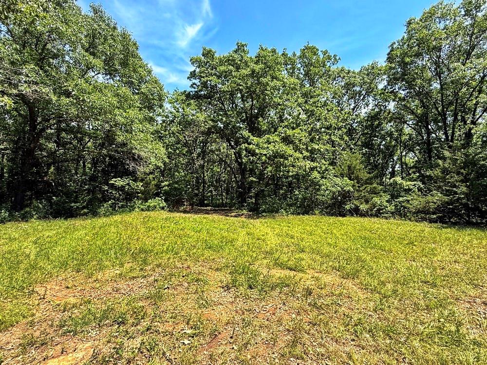 Tbd3 East 1550 Road Jerico Springs, MO 64756 - Photo 19 of 42