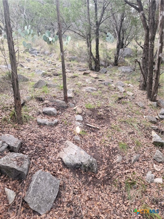 322 Cliff View Road Lampasas, TX 76550 - Photo 12 of 33 a view of yard covered with snow