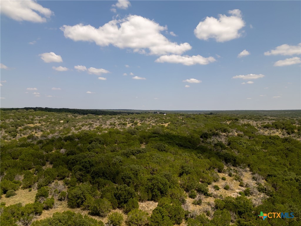 322 Cliff View Road Lampasas, TX 76550 - Photo 21 of 33 a view of yard and ocean