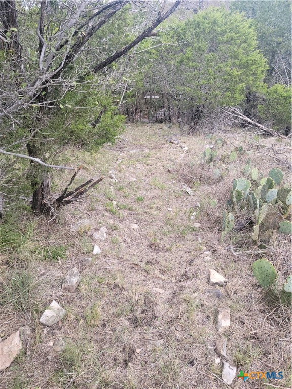 322 Cliff View Road Lampasas, TX 76550 - Photo 3 of 33 a view of a yard with trees