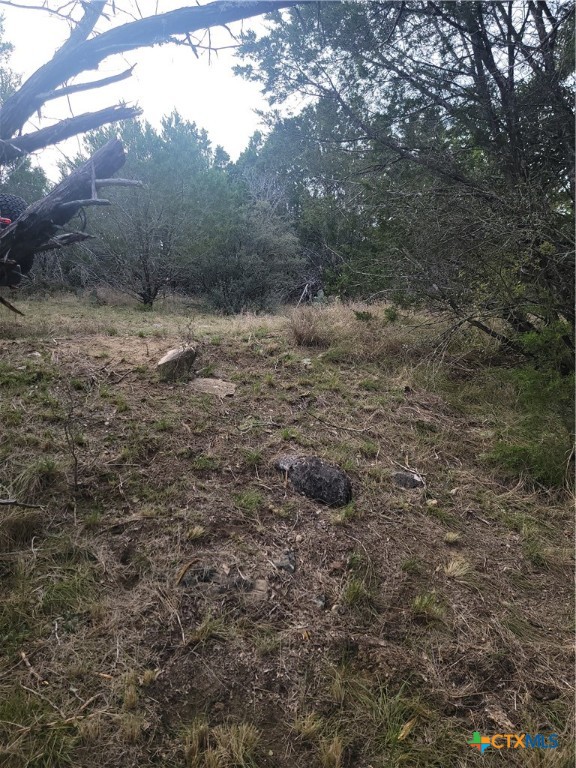 322 Cliff View Road Lampasas, TX 76550 - Photo 31 of 33 a view of a dry yard with trees