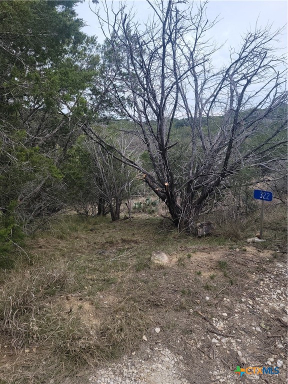 322 Cliff View Road Lampasas, TX 76550 - Photo 32 of 33 a view of a yard with a tree