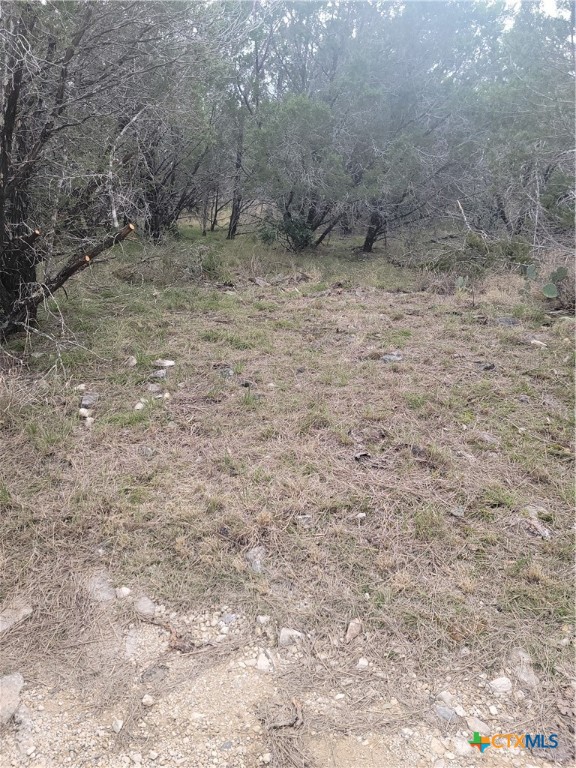 322 Cliff View Road Lampasas, TX 76550 - Photo 33 of 33 a view of a dry yard with trees