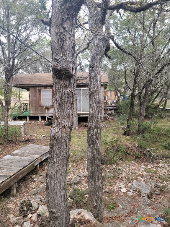 322 Cliff View Road Lampasas, TX 76550 - Photo 6 of 33 a large tree in the middle of a yard