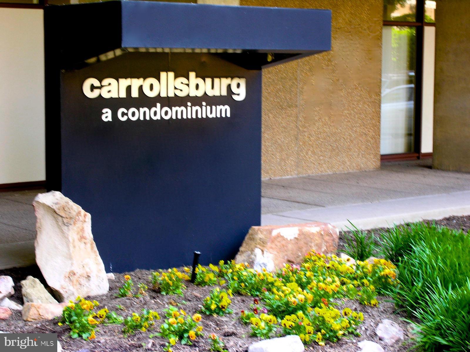 1250 4th Street Southwest, Unit W208 Washington, DC 20024 - Photo 1 of 22 Carrollsburg Condo