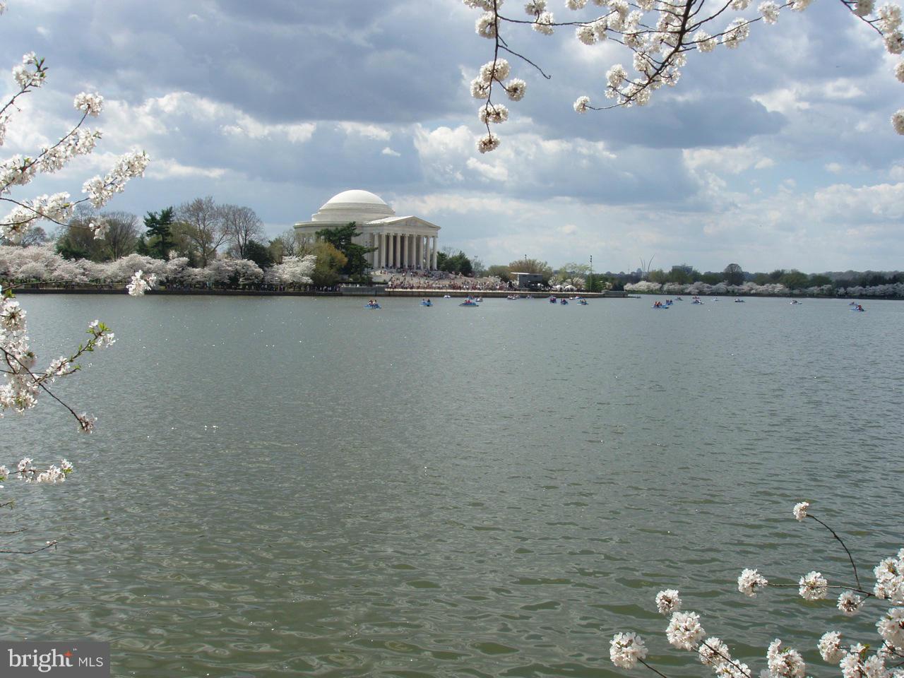 1250 4th Street Southwest, Unit W208 Washington, DC 20024 - Photo 19 of 22 Near the Tidal Basin and Monuments