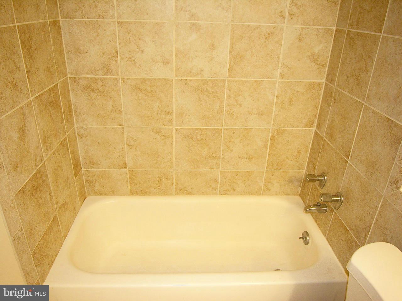 1250 4th Street Southwest, Unit W208 Washington, DC 20024 - Photo 8 of 22 Bath