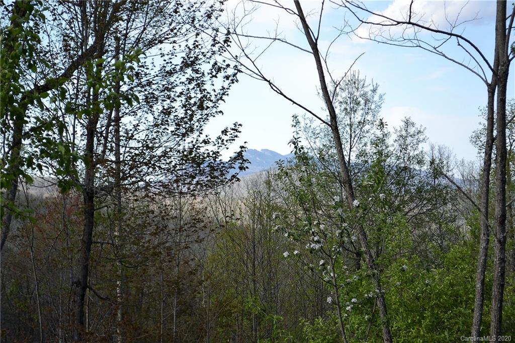 1797 Old Jonas Ridge Road Newland, NC 28657 - Photo 34 of 35 Gallery Image 34