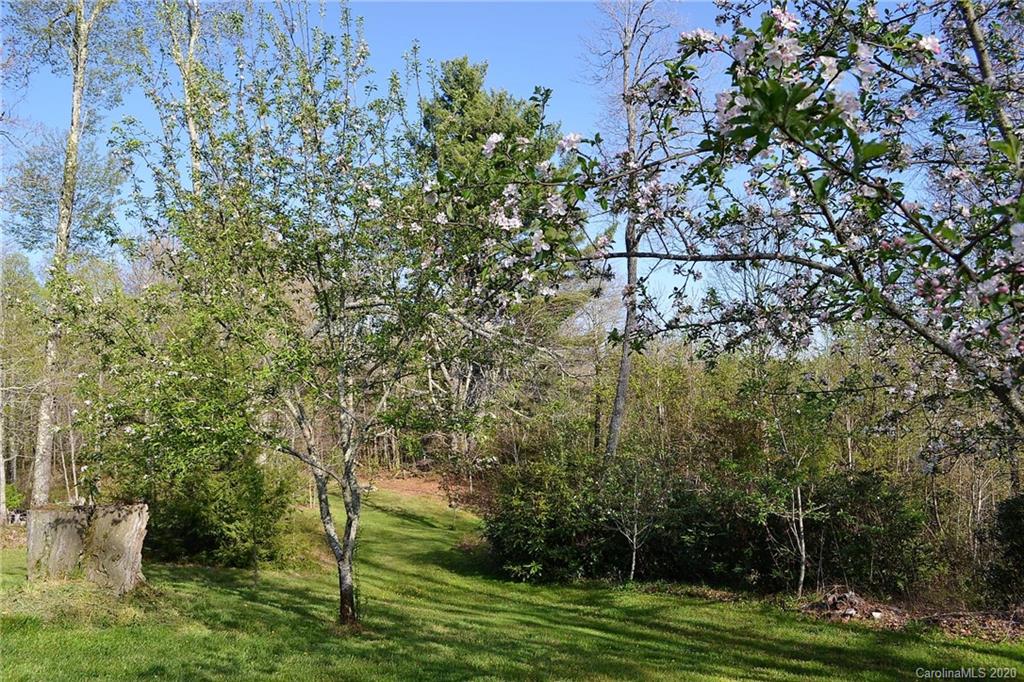 1797 Old Jonas Ridge Road Newland, NC 28657 - Photo 35 of 35 Gallery Image 35