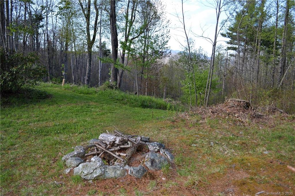 1797 Old Jonas Ridge Road Newland, NC 28657 - Photo 5 of 35 Gallery Image 5