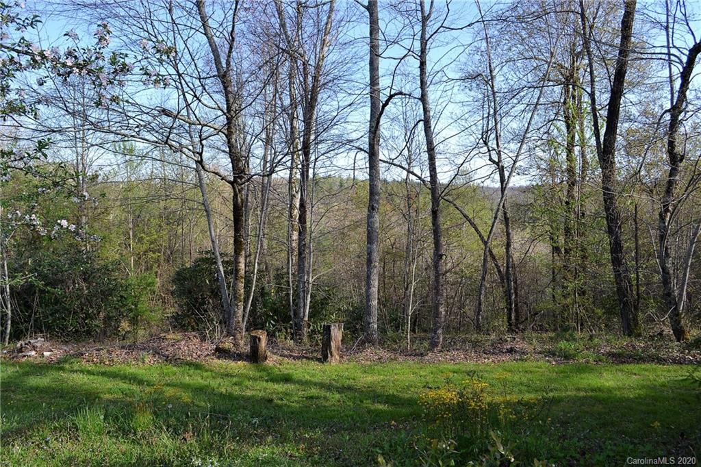 1797 Old Jonas Ridge Road Newland, NC 28657 - Photo 7 of 35 Gallery Image 7