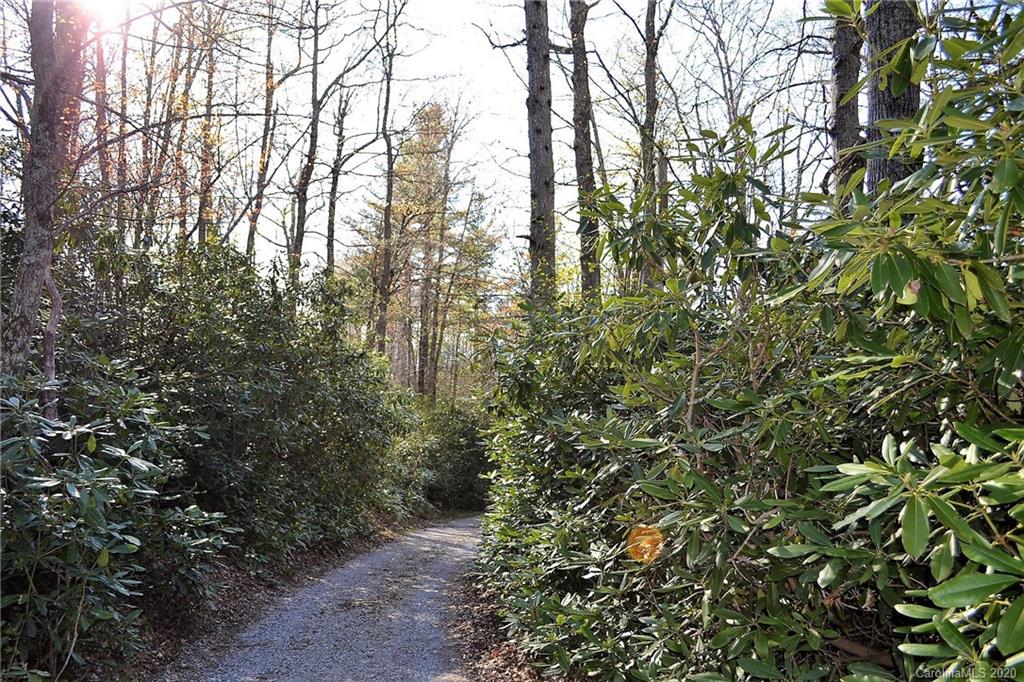 1797 Old Jonas Ridge Road Newland, NC 28657 - Photo 9 of 35 Gallery Image 9