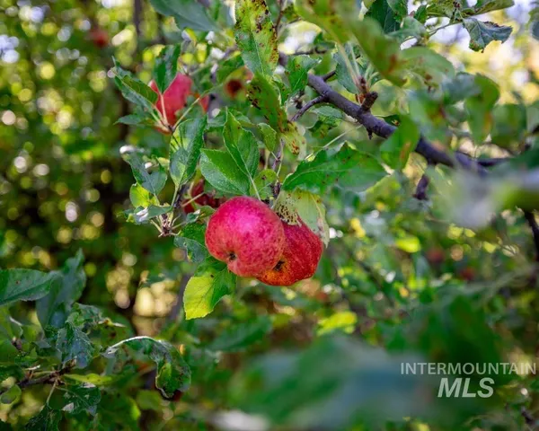 $459,000 | 1707 East 6th Street, Moscow, ID 83843