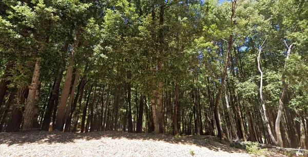 $4,500 | 24230 Cypress Drive, Willits, CA 95490