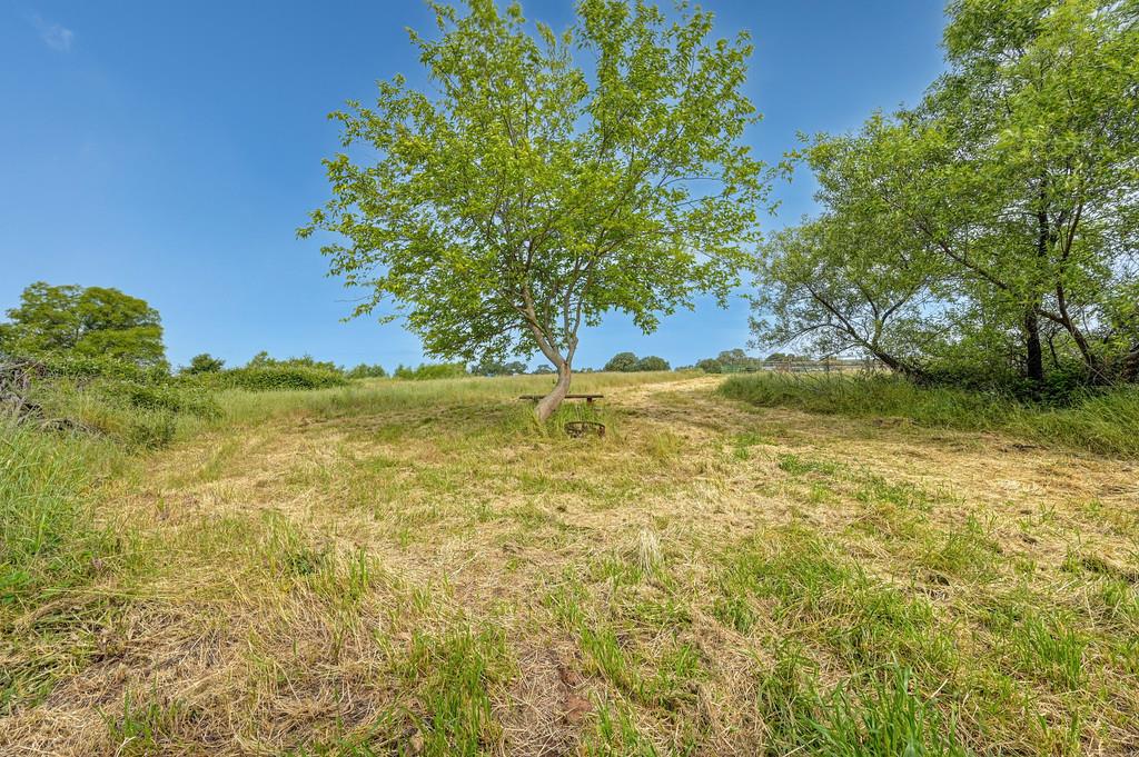 6790 Dornes Road Lincoln, CA 95648 - Photo 79 of 88