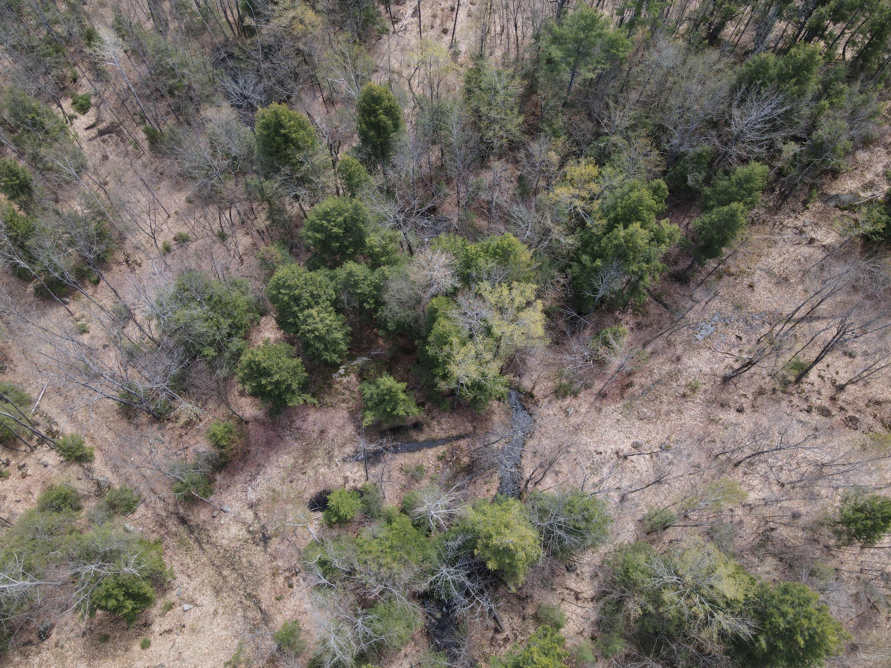 Lot 8 Federal Road Livermore, ME 04253 - Photo 34 of 49 DJI_0028