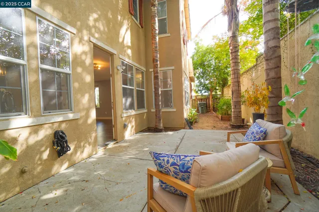 a view of a park with large trees