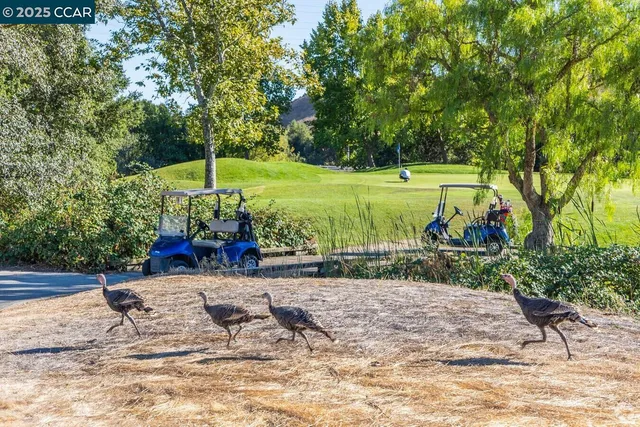 $649,000 | 6223 Newhaven Lane, Vallejo, CA 94591