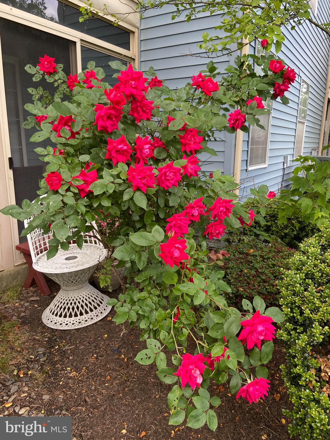 8 C Benjamin Franklin Drive Monroe Township, NJ 08831 - Photo 9 of 14