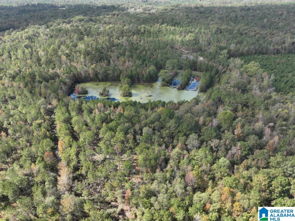 119 Plantation Road, Unit 1 Hope Hull, AL 36043 - Photo 5 of 35